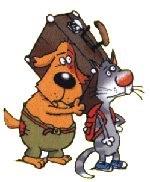 Dog and Cat